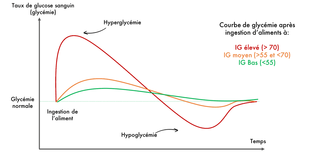 Courbes des Indices Glycémiques