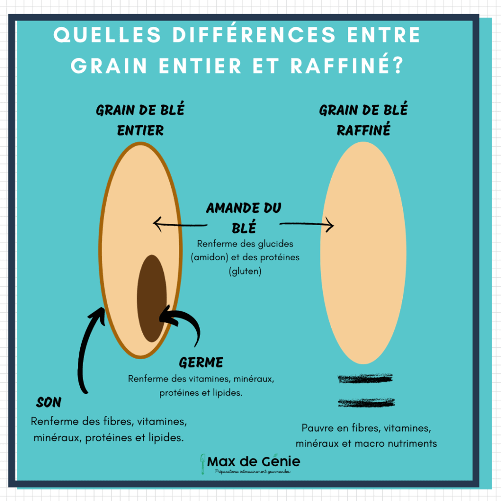 Farine raffinéE vs farine intégrale