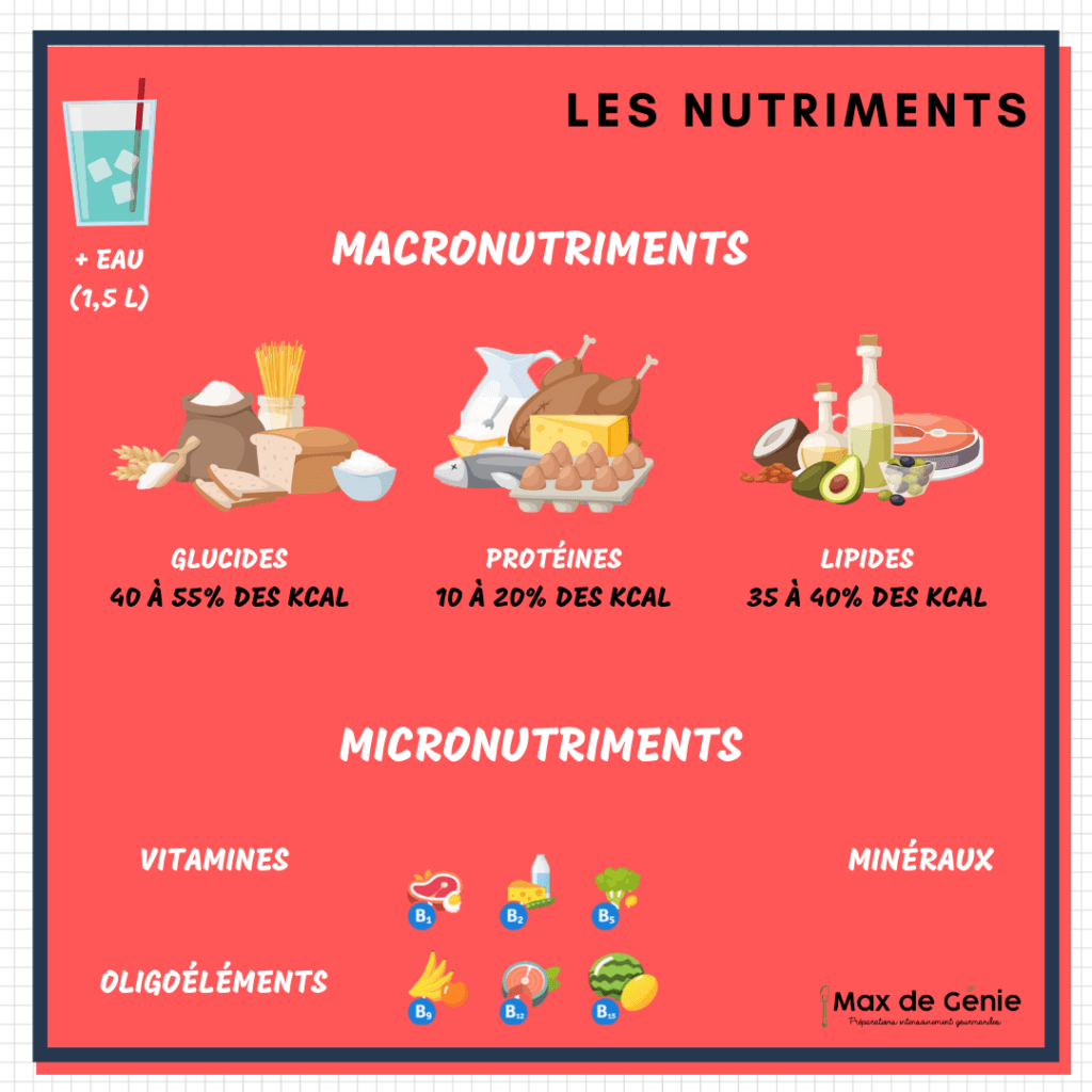 Infographie les nutriments