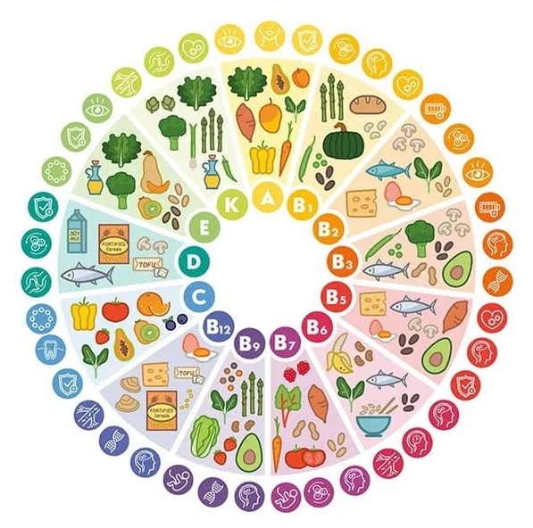 infographie vitamines