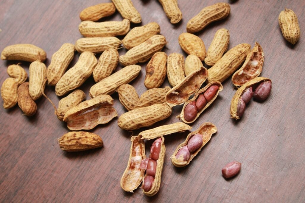 La Farine De Cacahuete Pourquoi Et Comment L Utiliser Max De Genie