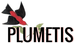 logo-plumetis