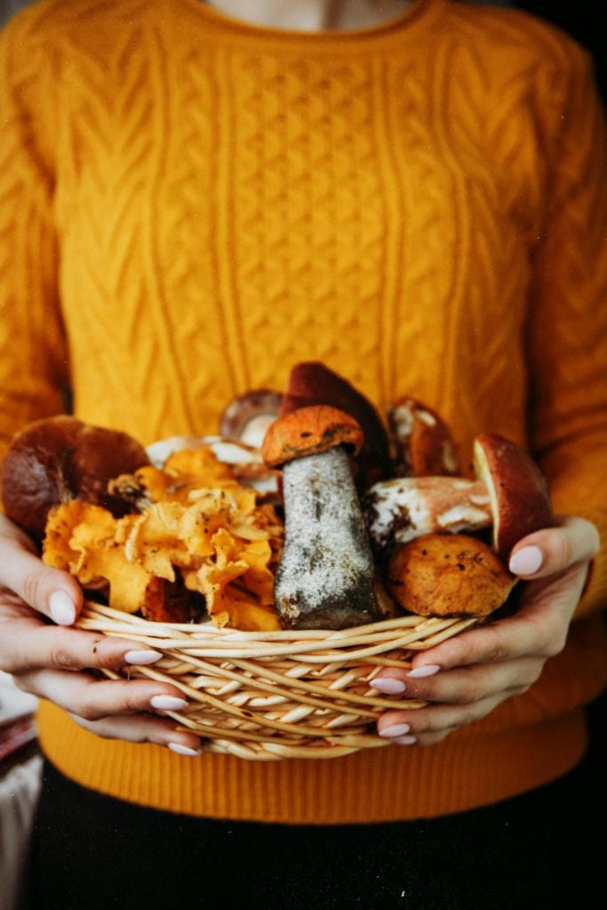 menu automne IG bas