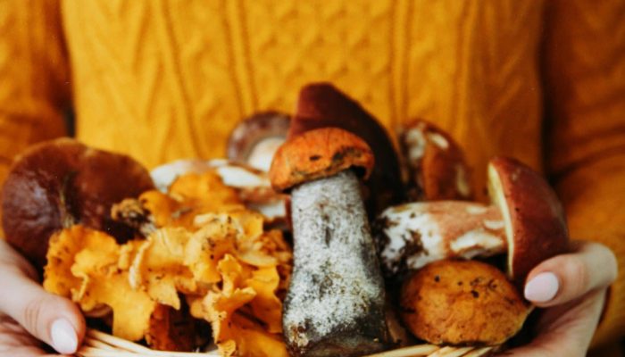 Menu automnal hebdomadaire IG bas