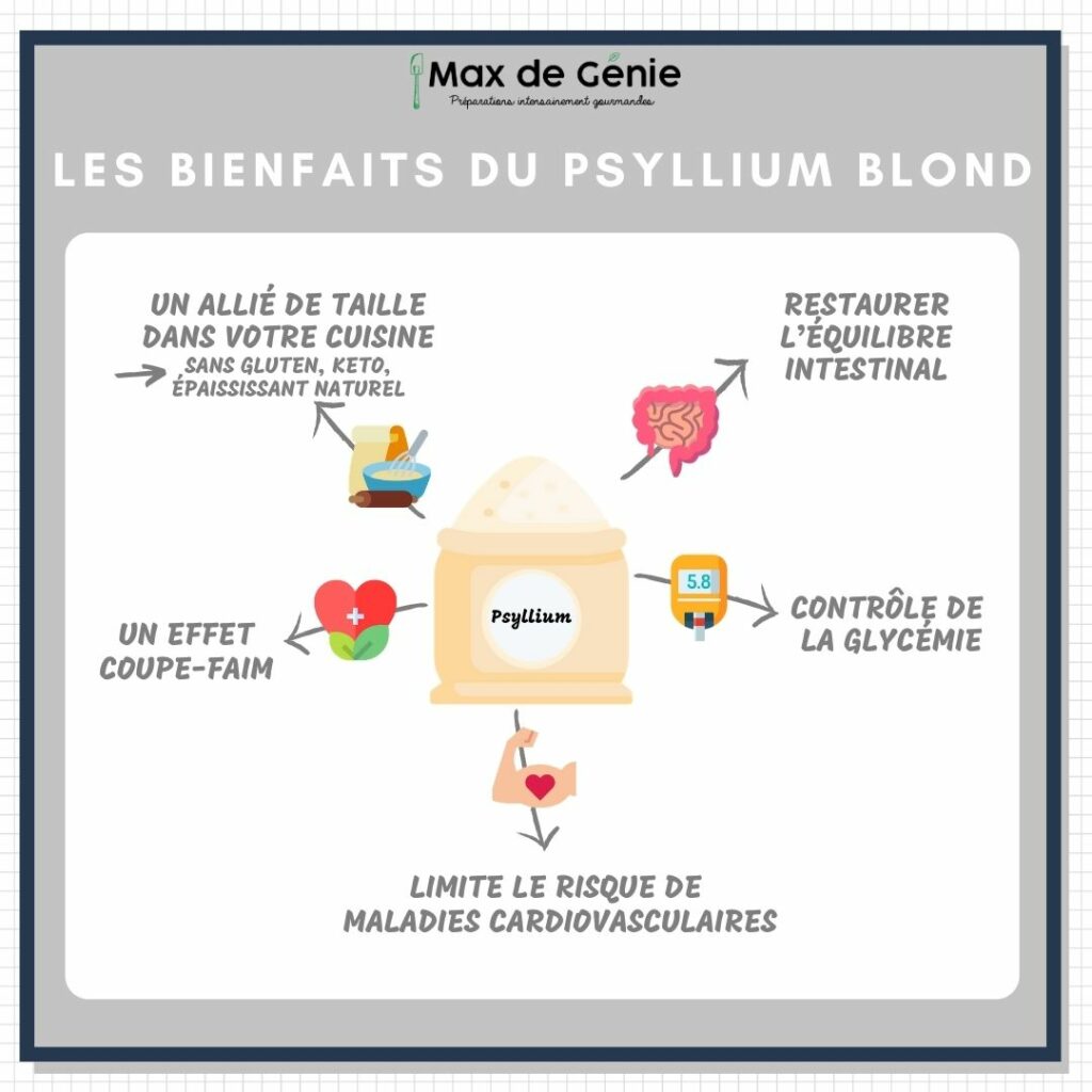 Infographie Les bienfaits du psyllium