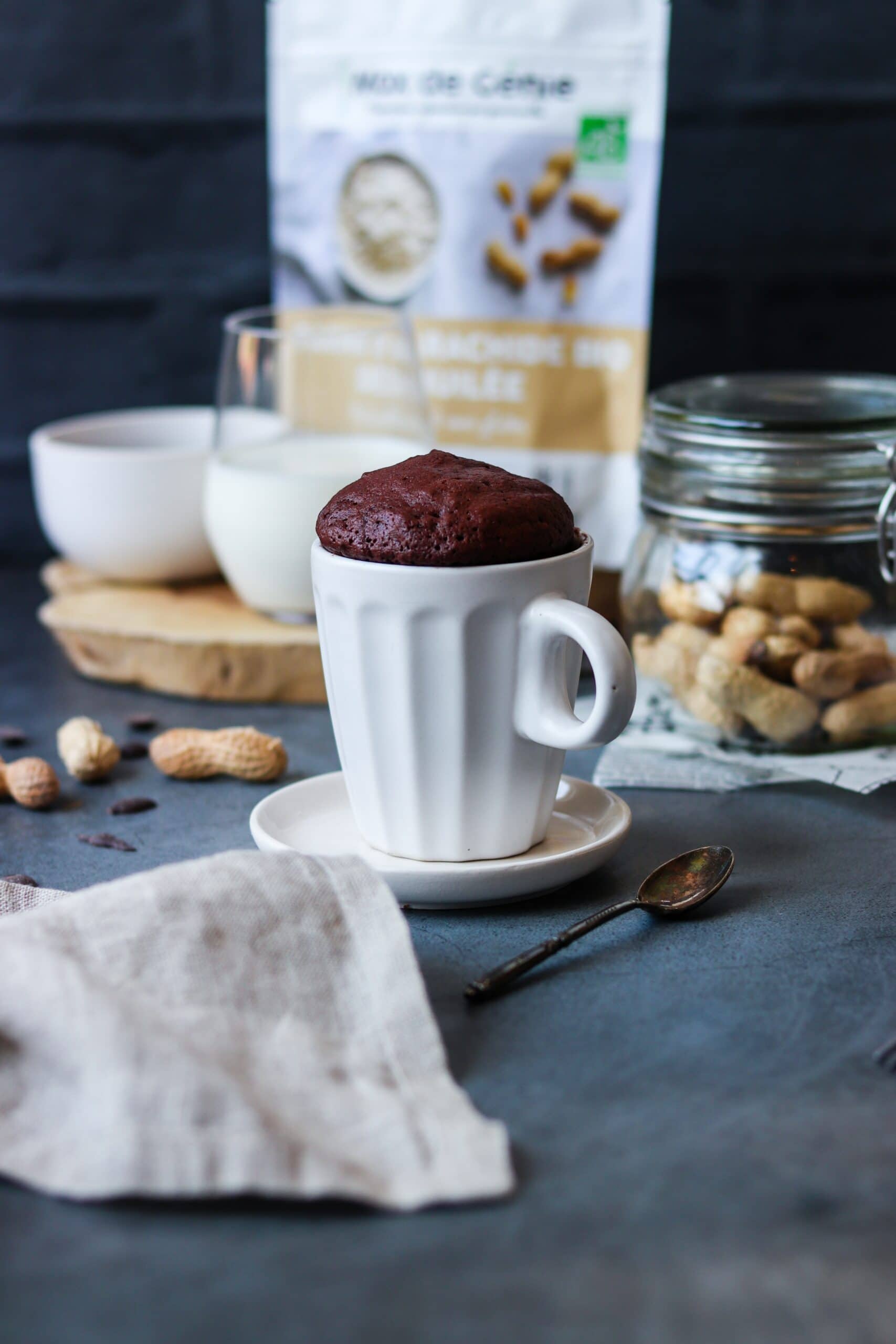Recette Mug Cake Keto Au Chocolat Et A La Farine De Cacahuete Max De Genie