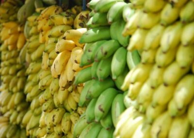 bananes jaunes et vertes