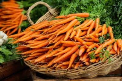 bottes de carottes dans un panier en osier