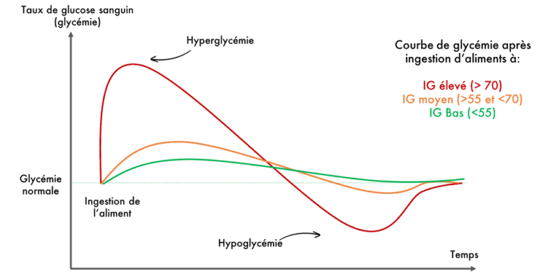 Courbes Indice glycémiques