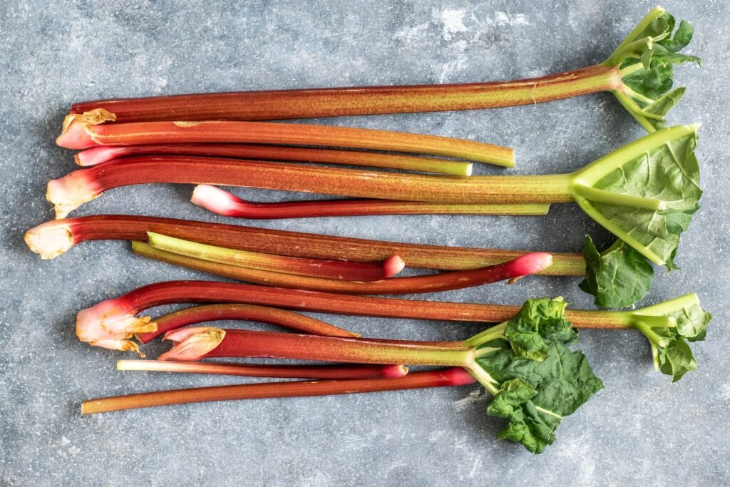 tiges de rhubarbes rouges fraiches