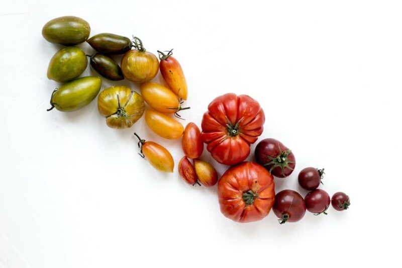 tomates colorées en dégradé du vert au violet