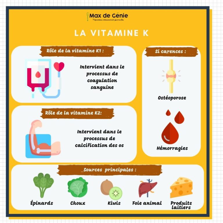 Vitamine K roles carences et sources