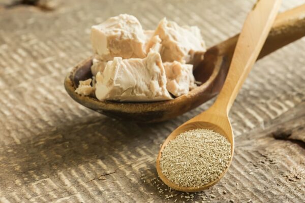 levure boulangère fraiche et sèche dans cuillères en bois