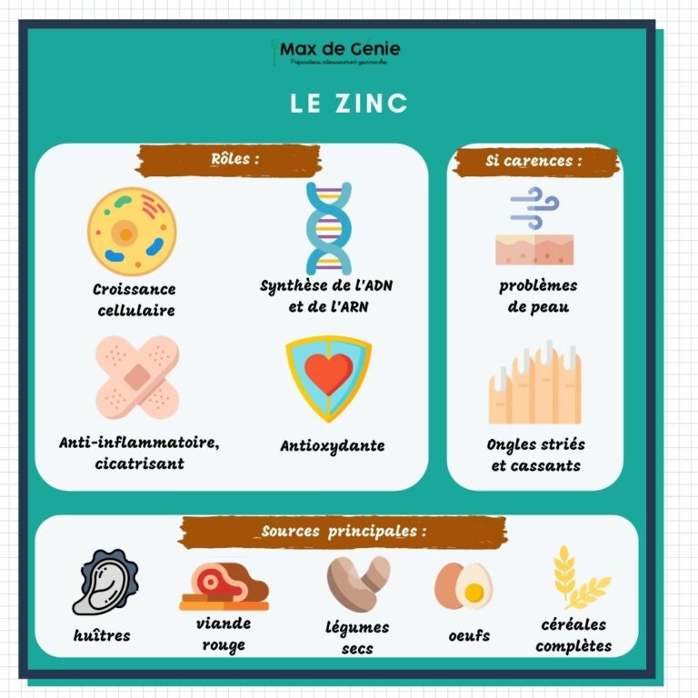 Zinc roles carences et sources