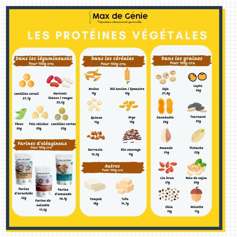 Infographie protéines végétales