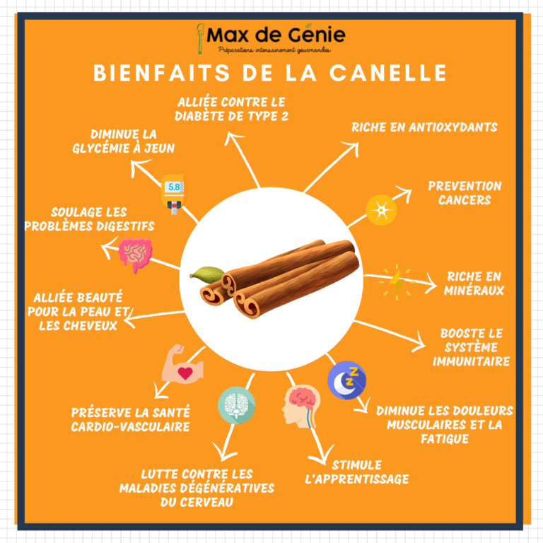 Cannelle de Ceylan - Caractéristiques, Utilisations et Bienfaits -  Phytothérapie - France Minéraux