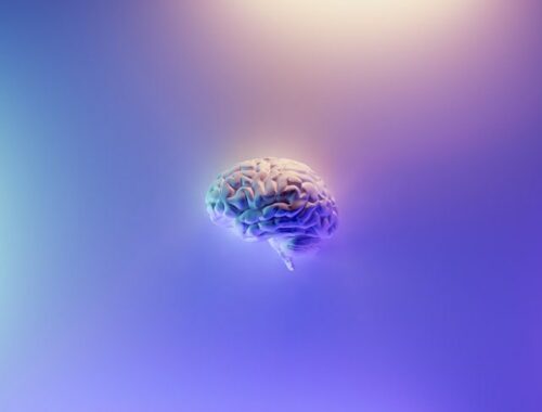 cerveau violet bleu