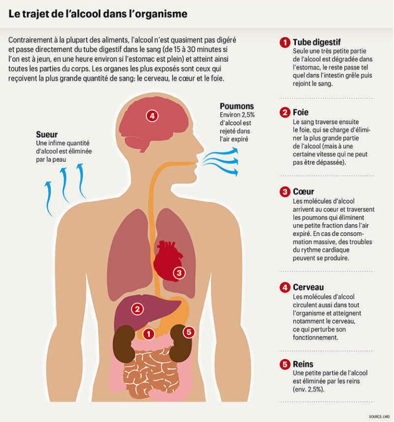 Schéma alcool diminue les réflexes - Source LMD sur Planète Santé Magazine