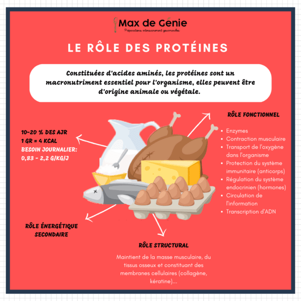 Régime CÉTOGÈNE : Les 9 principes de bases pour bien démarrer