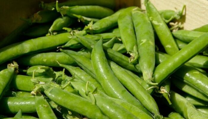 Le pois cassé : quels sont ses bienfaits et comment le consommer ?