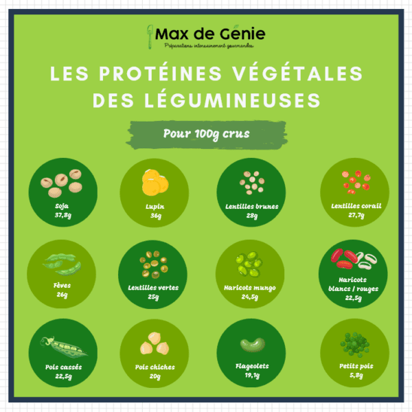 Les protéines végétales des légumineuses