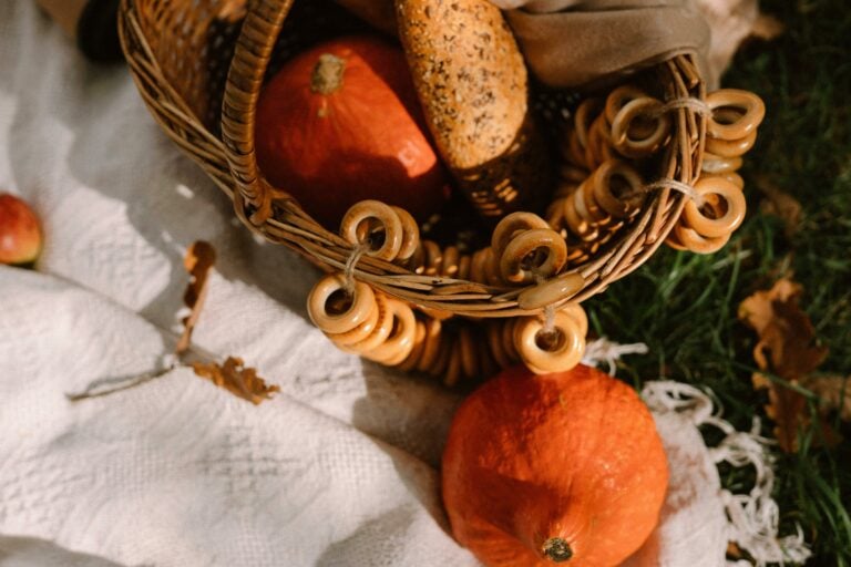 menu automne
