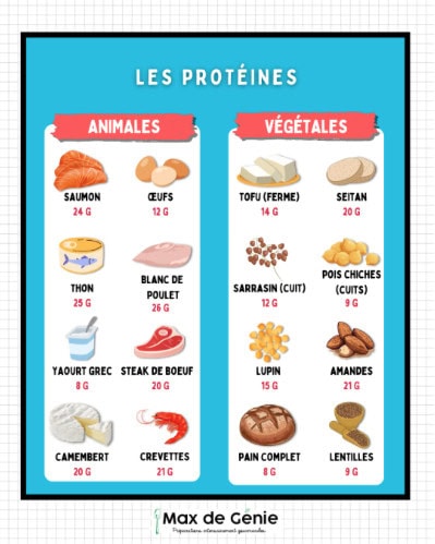 Les protéines dans l'alimentation